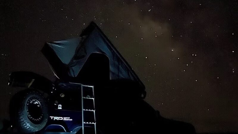 Plateau Hame De Colquhoun - Bosque, NM