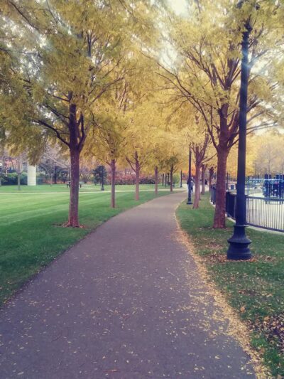 Bremen Street Community Park - Boston, MA