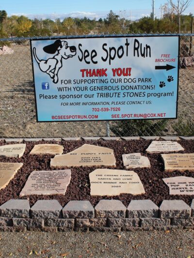 See Spot Run - Boulder City, NV