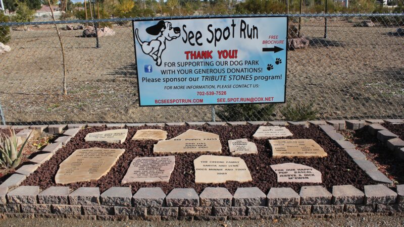 See Spot Run - Boulder City, NV