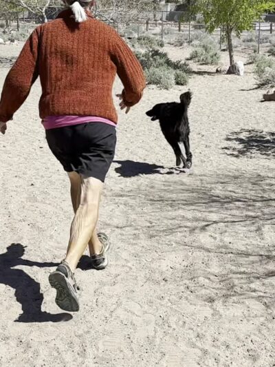 See Spot Run - Boulder City, NV