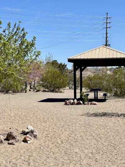 See Spot Run - Boulder City, NV