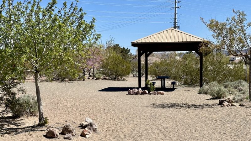 See Spot Run - Boulder City, NV