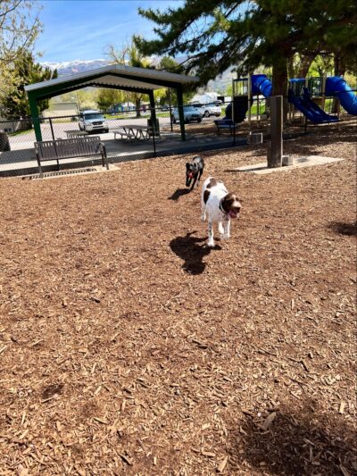 Brickyard Bark Park - Bountiful, UT