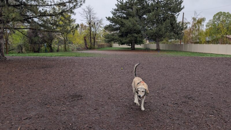Brickyard Bark Park - Bountiful, UT