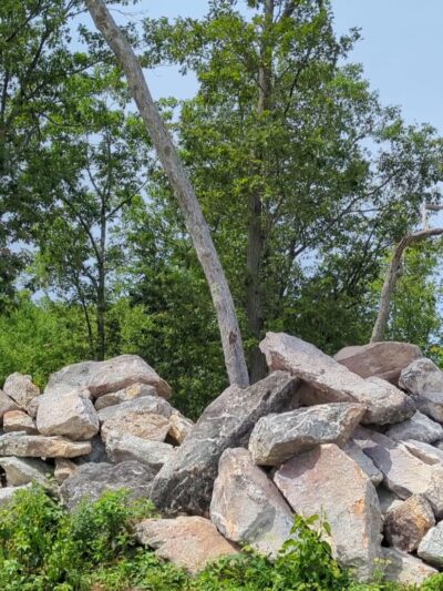 Nottingcook Forest - Bow, NH