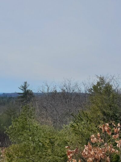 Nottingcook Forest - Bow, NH