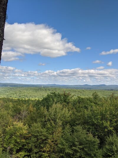 Nottingcook Forest - Bow, NH