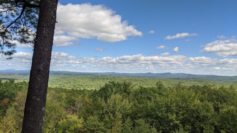 Nottingcook Forest - Bow, NH
