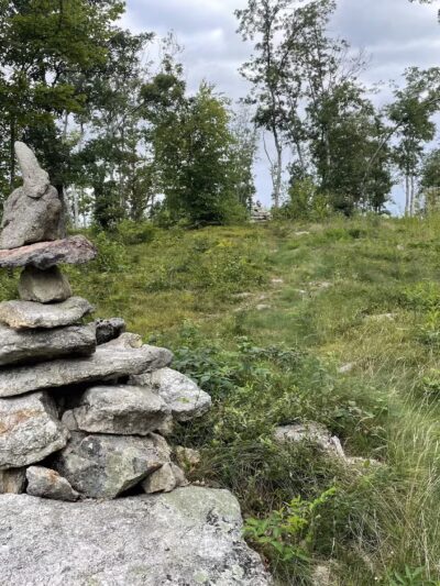 Nottingcook Forest - Bow, NH