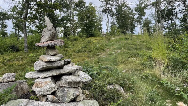 Nottingcook Forest - Bow, NH