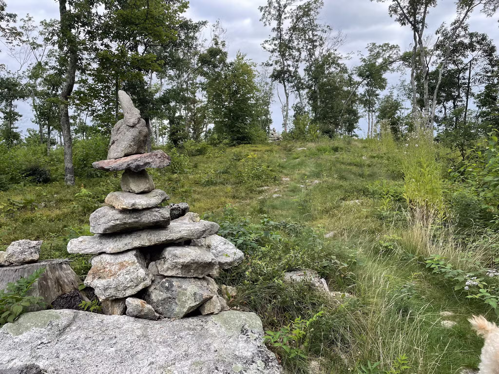Nottingcook Forest - Bow, NH