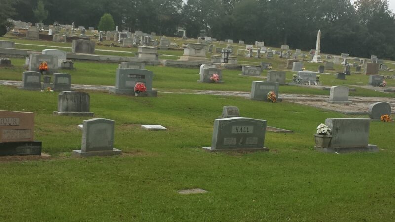 City of Bowman Park - Bowman, GA