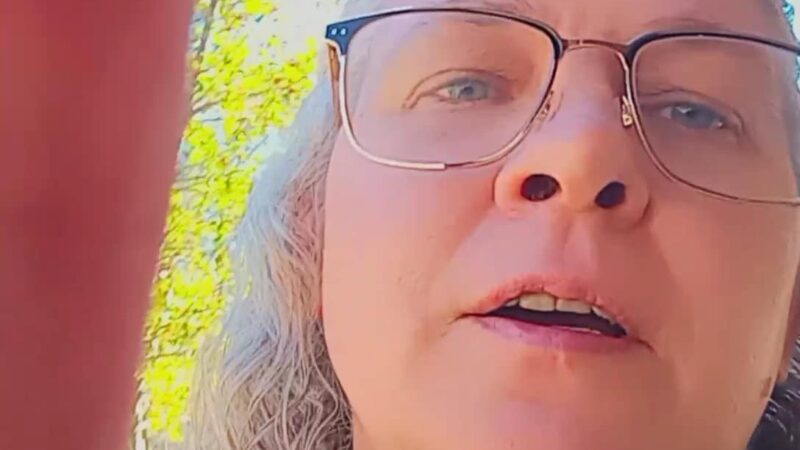 City of Bowman Park - Bowman, GA