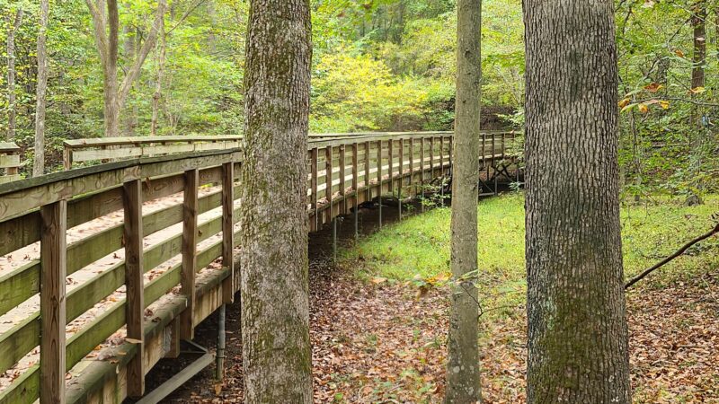Black Hill Regional Park - Boyds, MD