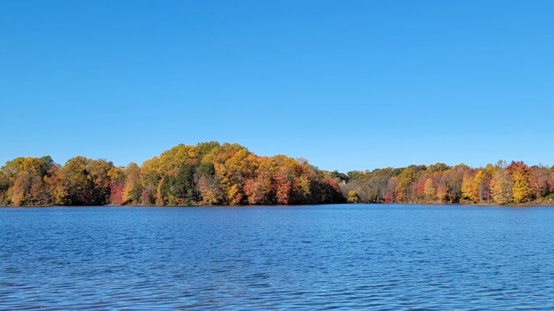 Black Hill Regional Park - Boyds, MD