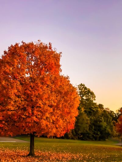 Black Hill Regional Park - Boyds, MD