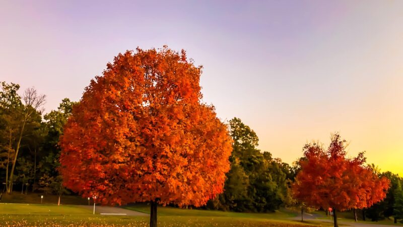 Black Hill Regional Park - Boyds, MD