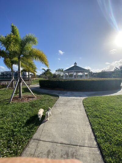 Boynton Village Park and Dog Park - Boynton Beach, FL