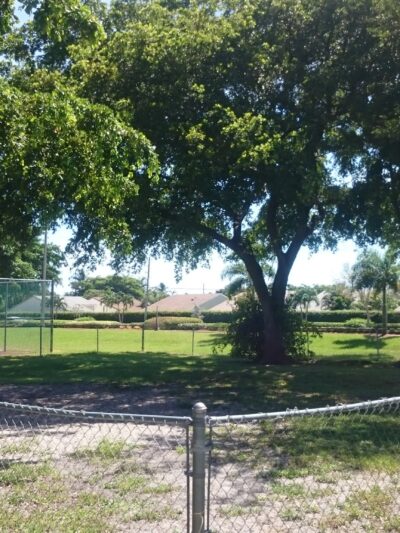 Dog Park - Boynton Beach, FL