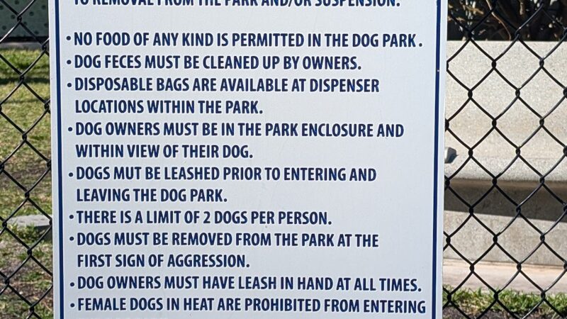 Mangrove Dog Park - Boynton Beach, FL