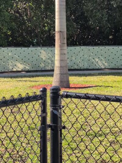 Mangrove Dog Park - Boynton Beach, FL