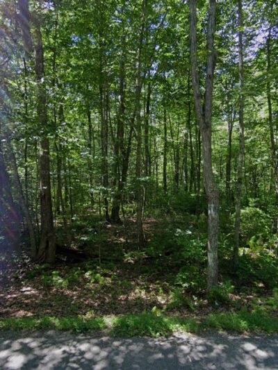 Hopemead State Park Reserve - Bozrah, CT