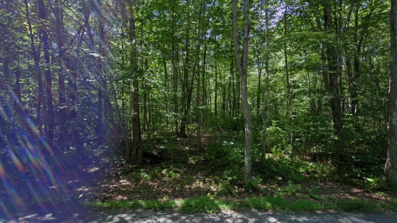 Hopemead State Park Reserve - Bozrah, CT