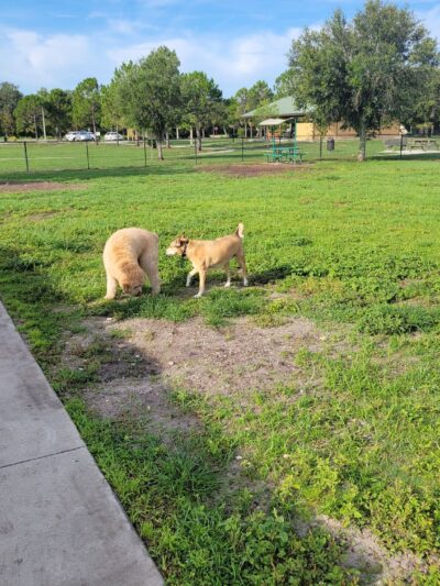 Creekwood Park - Bradenton, FL