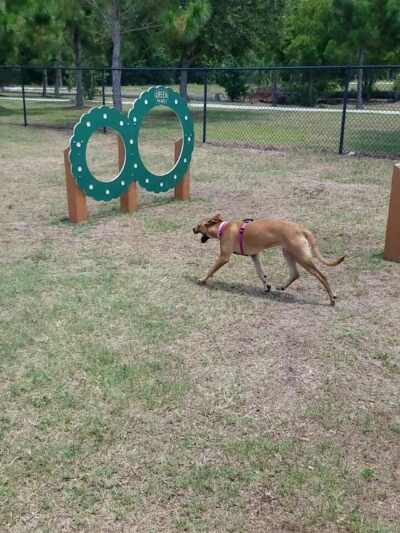 Creekwood Park - Bradenton, FL