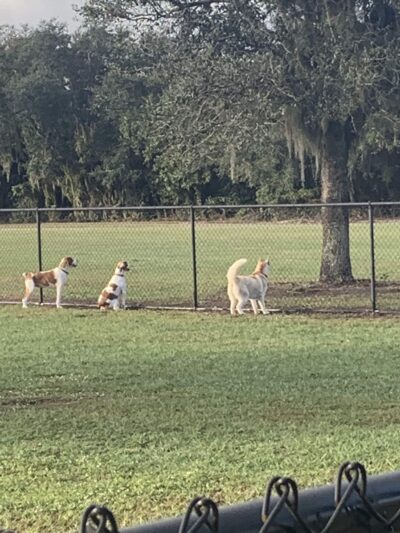 Creekwood Park - Bradenton, FL