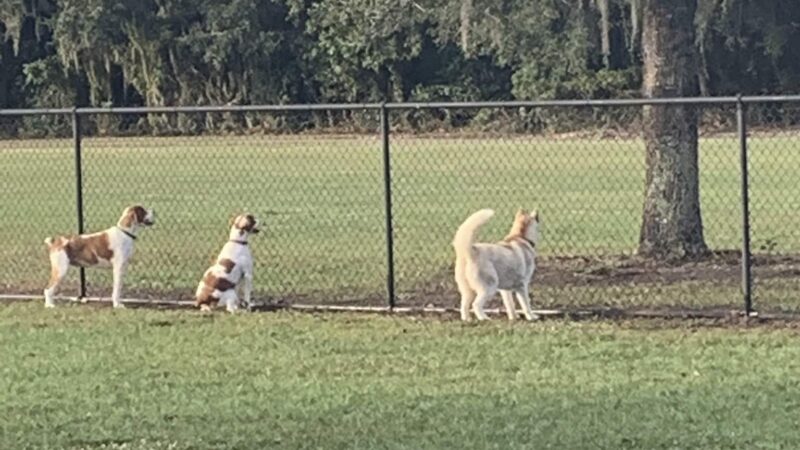 Creekwood Park - Bradenton, FL