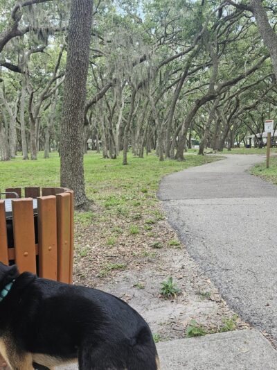 Happy Tails Dog Park - Bradenton, FL