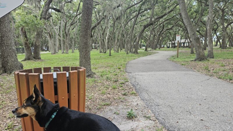 Happy Tails Dog Park - Bradenton, FL
