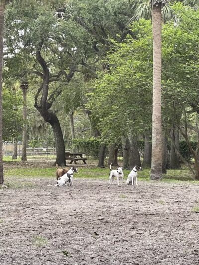 Happy Tails Dog Park - Bradenton, FL