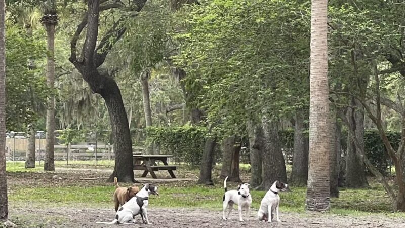 Happy Tails Dog Park - Bradenton, FL