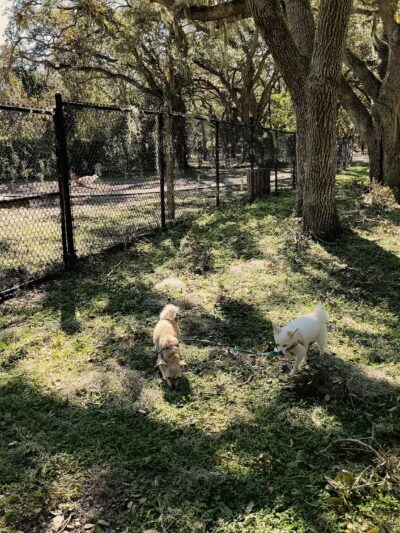 Happy Tails Dog Park - Bradenton, FL