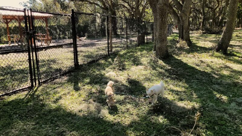 Happy Tails Dog Park - Bradenton, FL