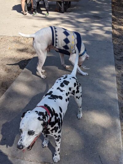 Happy Tails Dog Park - Bradenton, FL