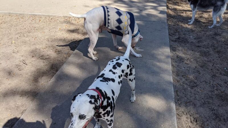 Happy Tails Dog Park - Bradenton, FL