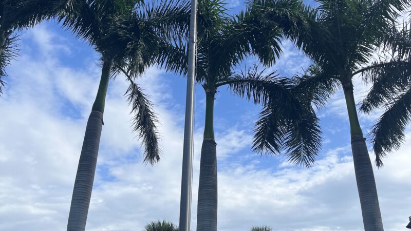 Rossi Park - Bradenton, FL