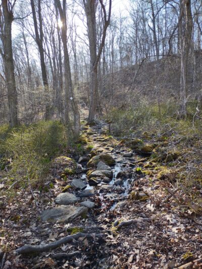 Grills Wildlife Sanctuary, Hopkinton - Bradford, RI