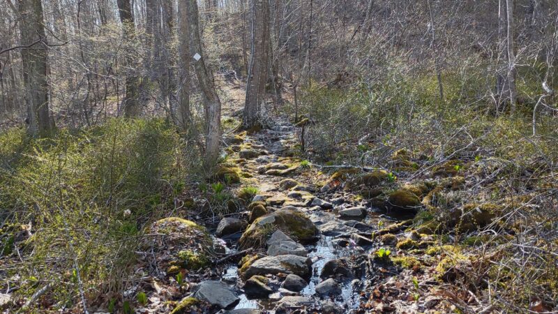 Grills Wildlife Sanctuary, Hopkinton - Bradford, RI