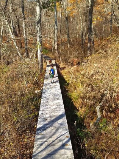 Grills Wildlife Sanctuary, Hopkinton - Bradford, RI