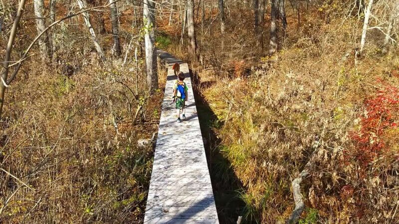 Grills Wildlife Sanctuary, Hopkinton - Bradford, RI