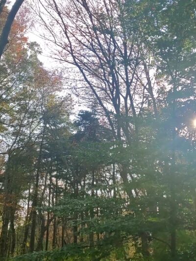 Grills Wildlife Sanctuary, Hopkinton - Bradford, RI