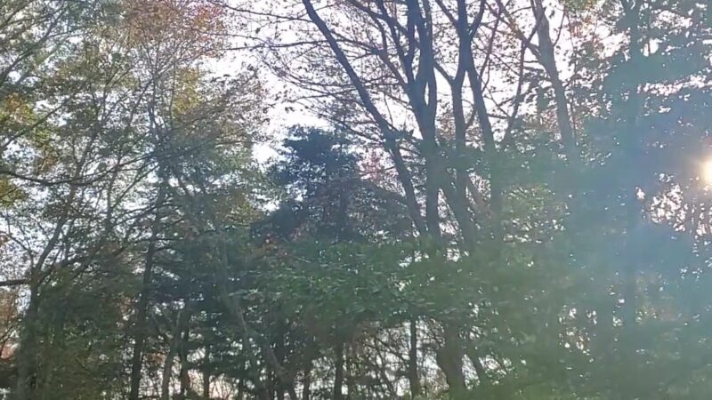 Grills Wildlife Sanctuary, Hopkinton - Bradford, RI