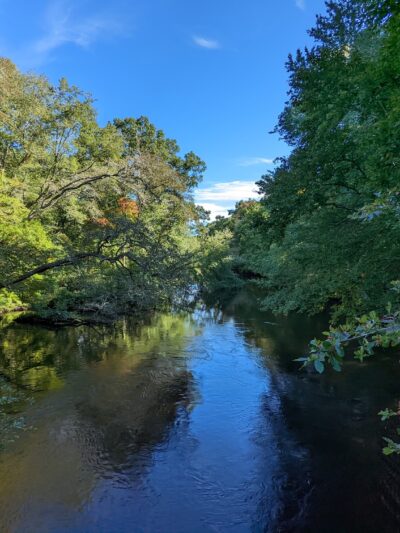 Grills Wildlife Sanctuary, Hopkinton - Bradford, RI