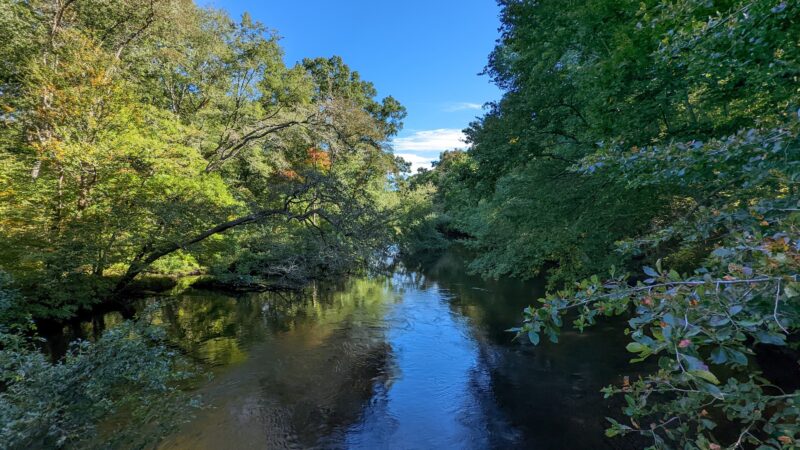 Grills Wildlife Sanctuary, Hopkinton - Bradford, RI