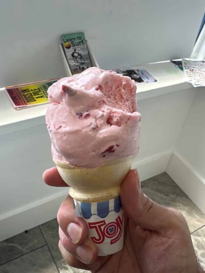 Bradley’s Beach Plum - Bradley Beach, NJ